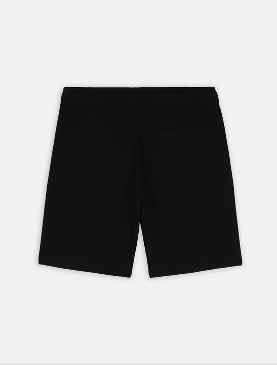 Actual product image Dickies Mapleton Shorts - 121655 (M)