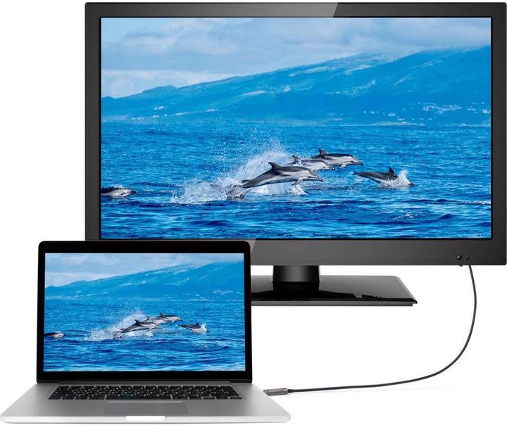 Immagine prodotto SpeaKa Professional Cavo di connessione USB-C / DisplayPort 10.00m SP-9505620 rivestimento TPE nero (1x U... (10 m, DisplayPort)