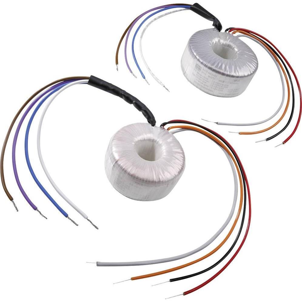 Block RKD 60/2x15 Trasformatore toroidale 2 x 115 V 60 VA, Trasformatore