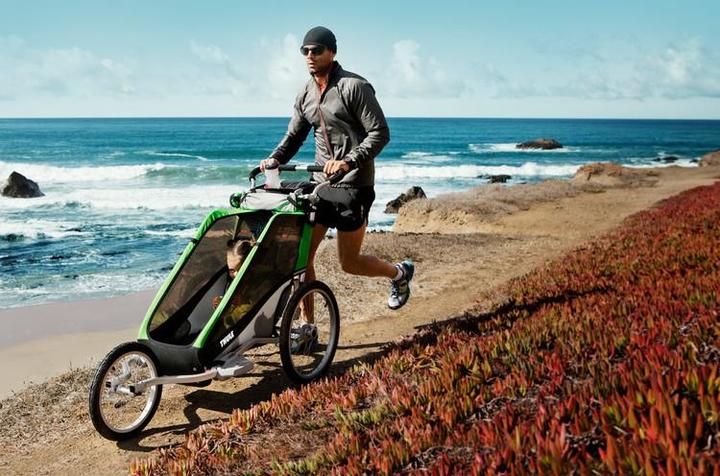 Actual product image Thule Chariot Cheetah 2