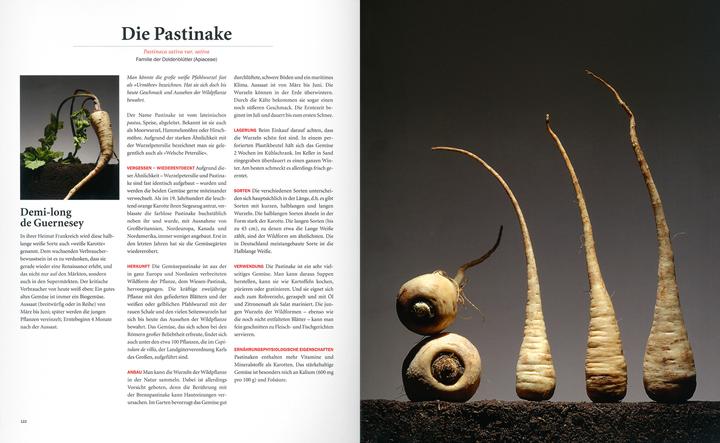 Produktbild Vergessene Klassiker - Sonderausgabe (Deutsch, Kathleen Paccalet, Marc Dantan, Yves Paccalet, 2014)