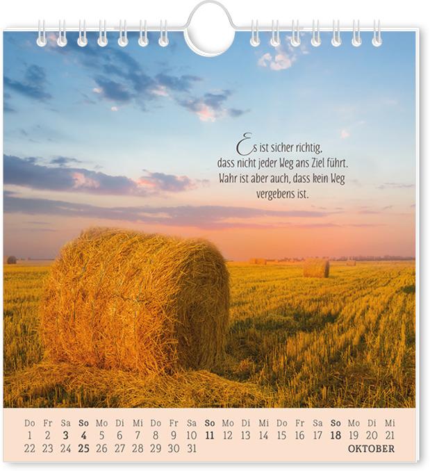 Actual product image Postkartenkalender 2026 Lebenszeichen