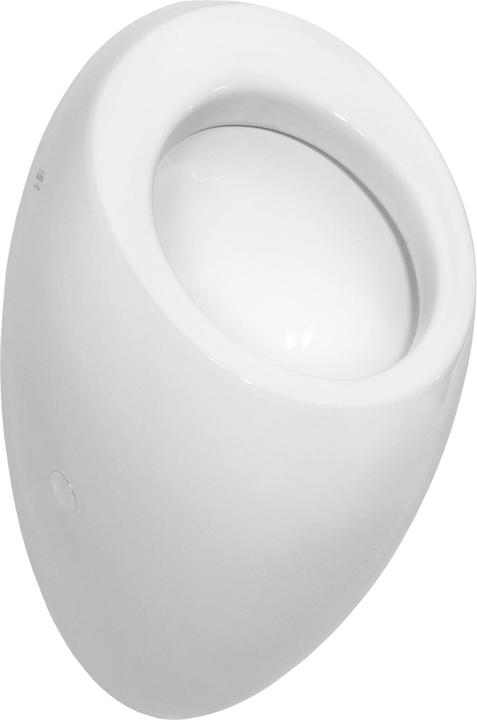 Laufen Alessi one suction urinal, without holes for lid mounting, without fly, 325x290mm, H840975