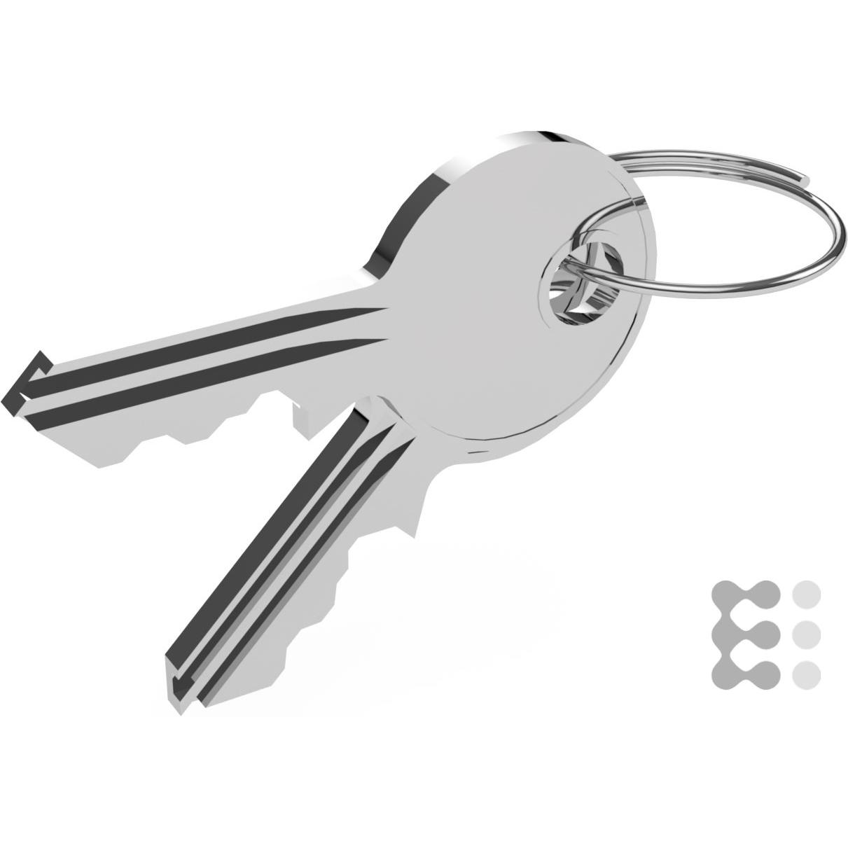 Enoc Schlüssel 101 Paar f.S1/F1+diverse si, Serverschrank Zubehör, Grau