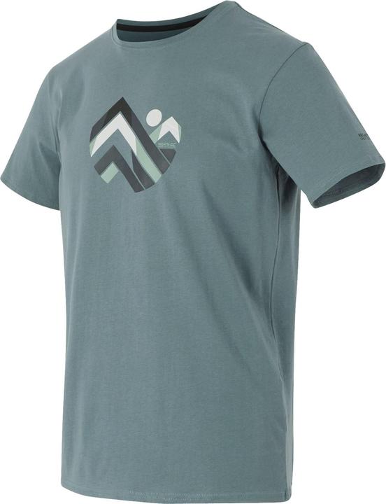 Actual product image Regatta Mens Breezed V Mountain Peaks T-Shirt (S)