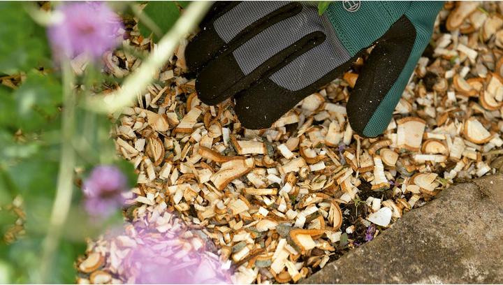 Produktbild Bosch Home & Garden AXT Rapid 2000