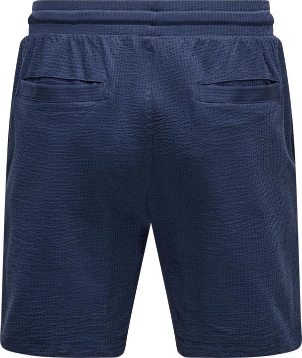 Actual product image Only & Sons Onskian Reg Seersucker Shorts (XL)