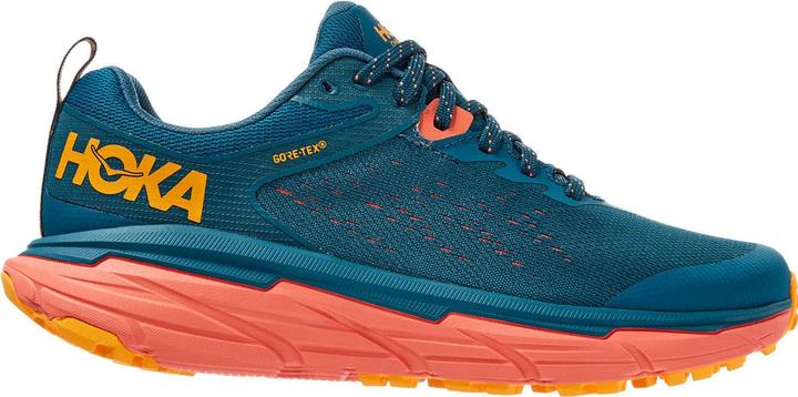 Hoka Women's Challenger ATR 6 GTX (40)