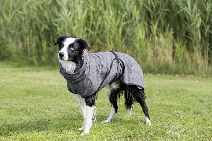 Produktbild Trixie Bademantel Frotee (XS, Hundebademantel)