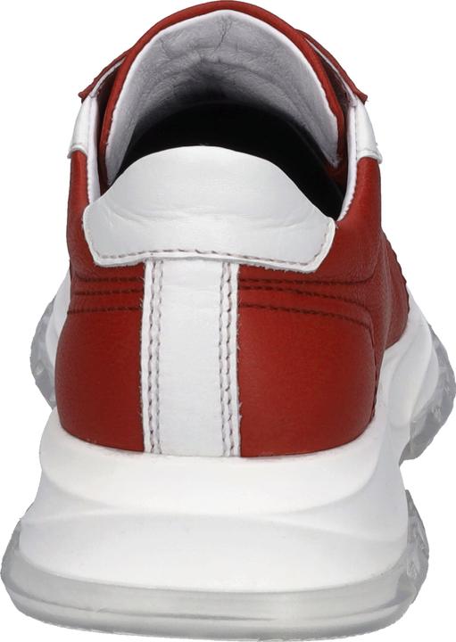 Actual product image Westland 19203-TE272 (39)