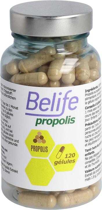 Actual product image Beelife Propolis Gélules (120 Piece, Capsules, 68 g)