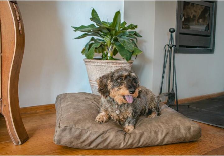 Produktbild Kerbl Let's Sleep Plush Pillow Hundebett L Anthrazit (Hund)