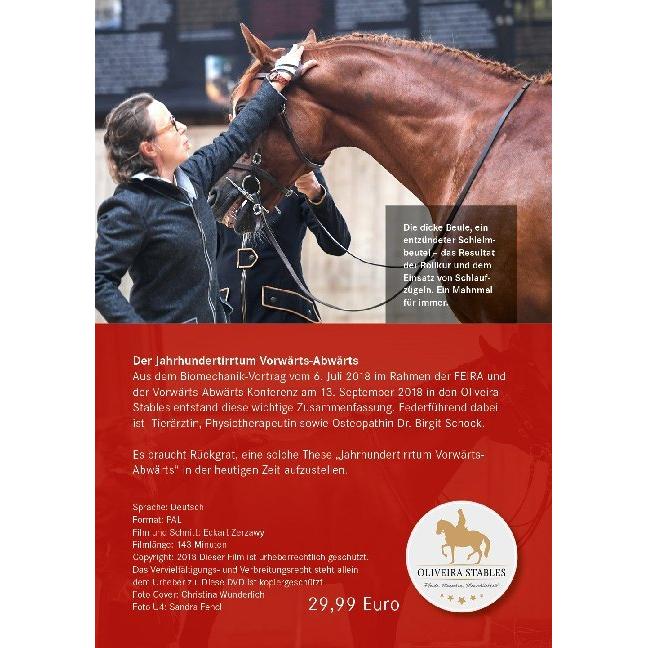 Thumbnail - Der Jahrhundertirrtum Vorwärts-Abwärts, Sachbücher