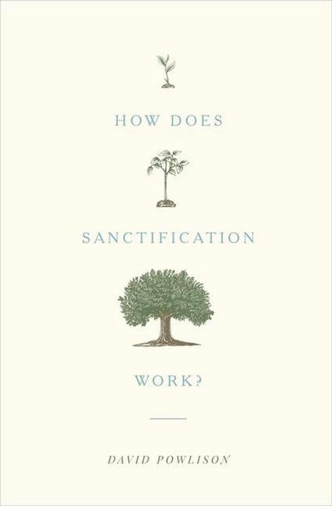 Produktbild How Does Sanctification Work? (Englisch)