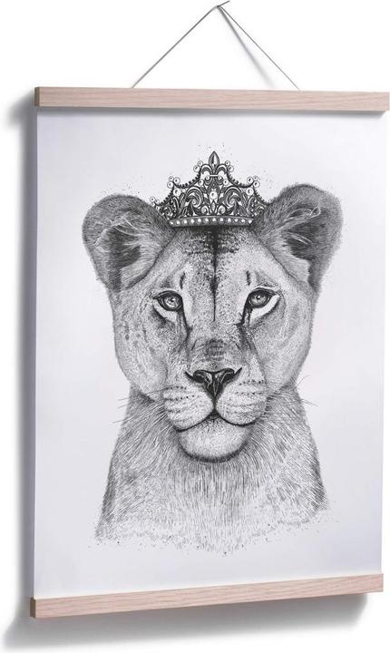 Image du produit Trenddeko La reine des lionnes (30,5 x 30,5 cm)