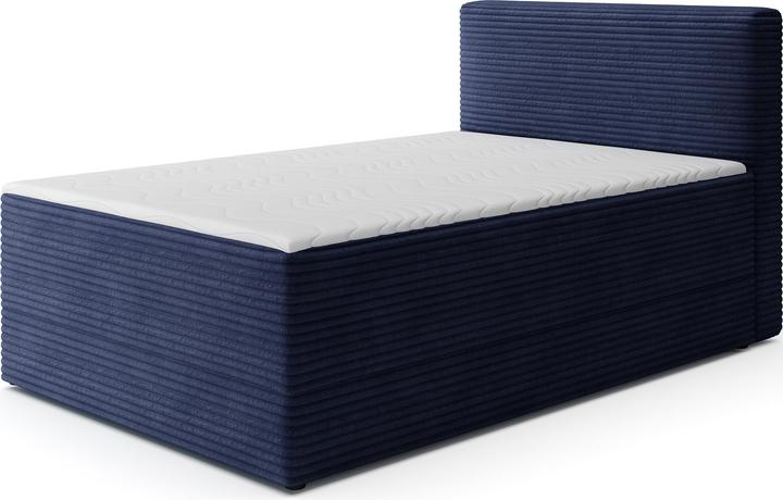 Dark blue Modullo 40