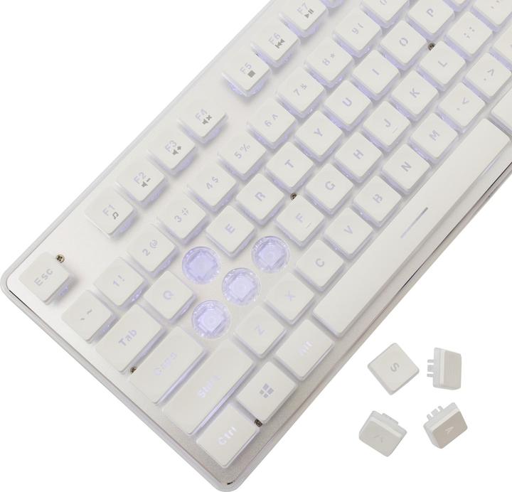 Actual product image Shark GK-003241 Tachi US (US, Cable)