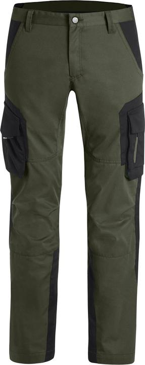 Olive-black