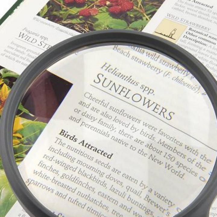 Produktbild Carson Handlupe