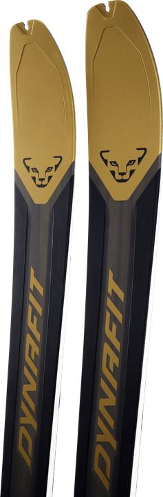 Actual product image Dynafit Ridge 95 Ski (184 cm, Without binding)