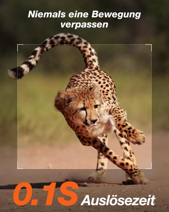 Produktbild iZeeker 4K Wildkamera mit Nachtsicht & Bewegungsmelder