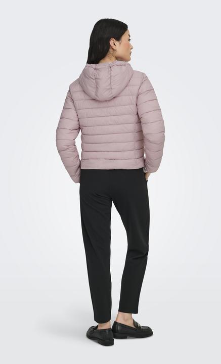 Produktbild Only ONLTAHIA Steppjacke Steppjacke (M)