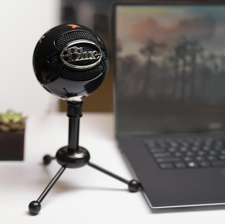 Actual product image Blue Snowball