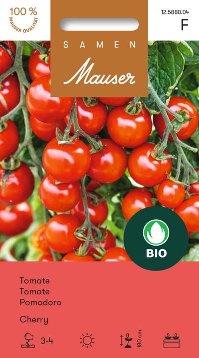 Actual product image Samen Mauser Cherry (Vegetable seeds)