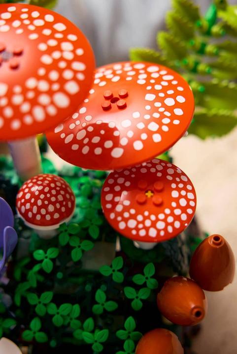 Produktbild LEGO 11505 Waldpilze (LEGO Botanicals)
