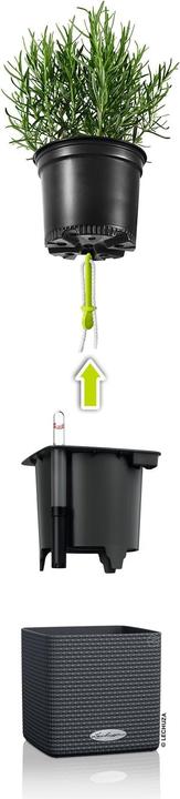 Image du produit Lechuza Couleur du cube (14 x 14 x 13.50 cm)