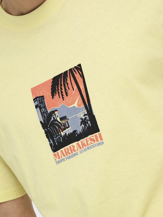 Image du produit Only & Sons T-Shirt Beane Rhaba Kurzarmshirt (L)