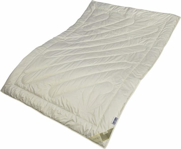 Produktbild Traumschlaf Bio Hanf (1300 g, 200 x 220 cm)