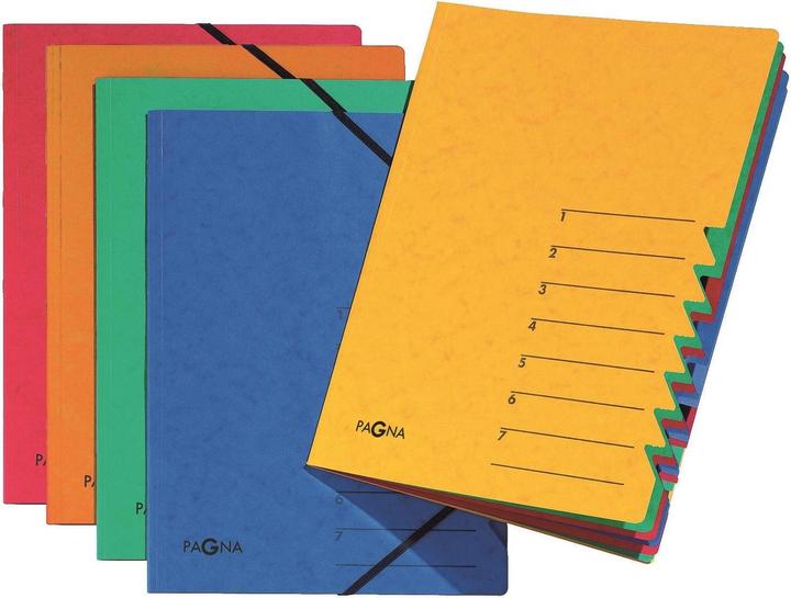 Actual product image Pagna EASY file (A4, 1 x)