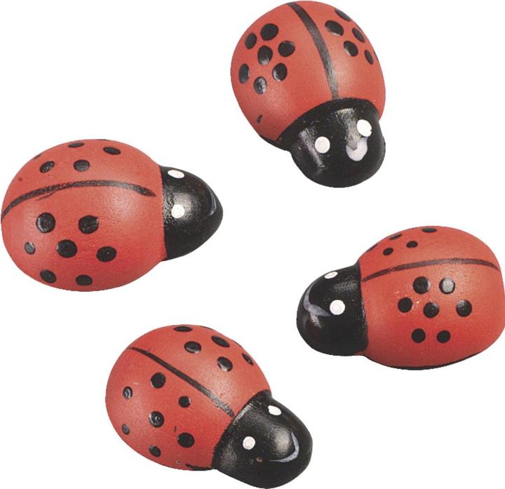 Immagine prodotto Knorr Prandell Coccinella (10 pz.)