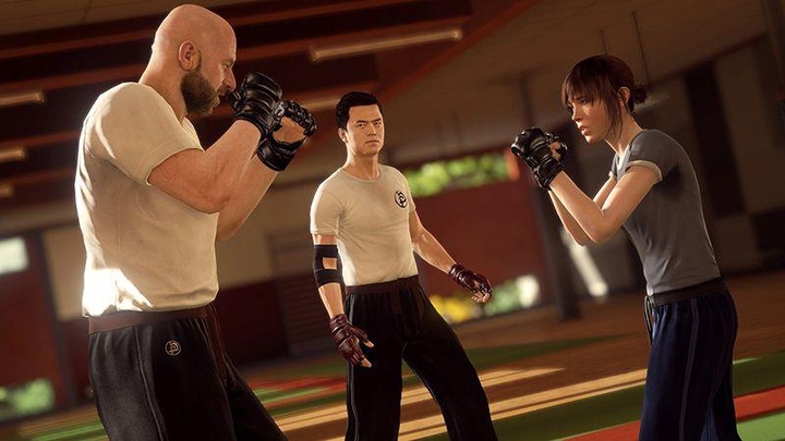 Produktbild Sony The Heavy Rain and Beyond:Two Souls Collection (PS4, Multilingual)