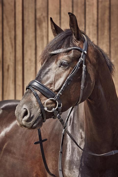 Actual product image Horse Guard Two-ring snaffle bit