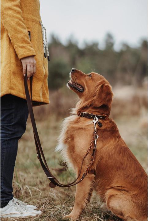 Produktbild Hunter Dogcollar Solid Education Cord M-L (60), dark brown/orange - (69319) (M, L, Hund, Allgemein)