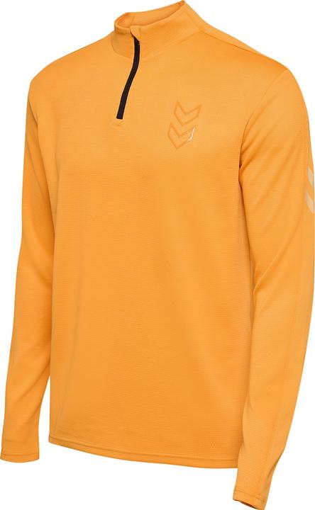 Orange Flamboyant