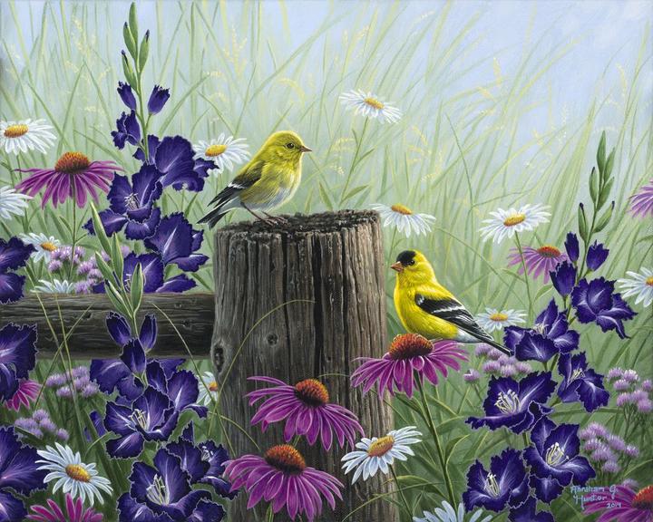 Actual product image Figured'Art Paint by Numbers Framed - Goldfinch Birds