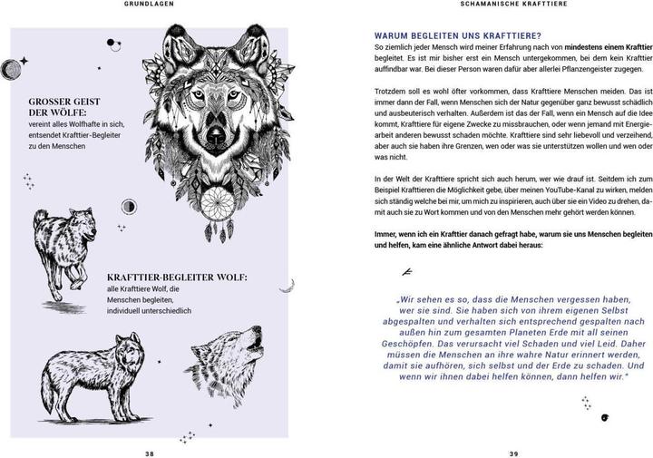 Produktbild Praxisbuch Schamanische Krafttiere – Entdecke deine Seelenbegleiter (Deutsch, Benjamin Maier, 2022)