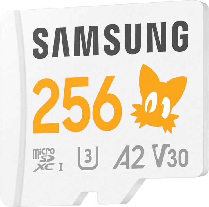 Immagine prodotto Samsung MB-MD256S (256 GB, microSDXC, U3, UHS-I)