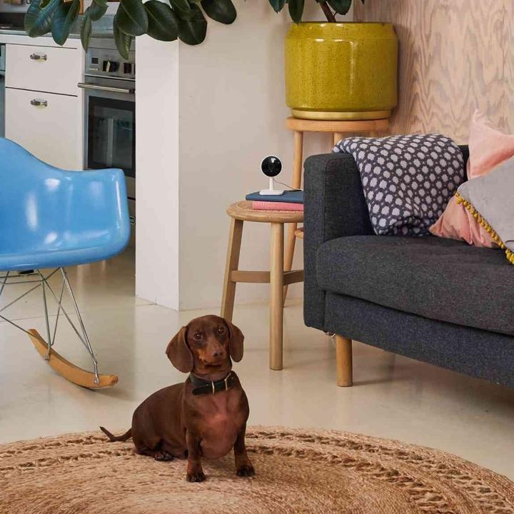 Produktbild Yale Smarte Indoor Kamera (1920 x 1080 Pixels)