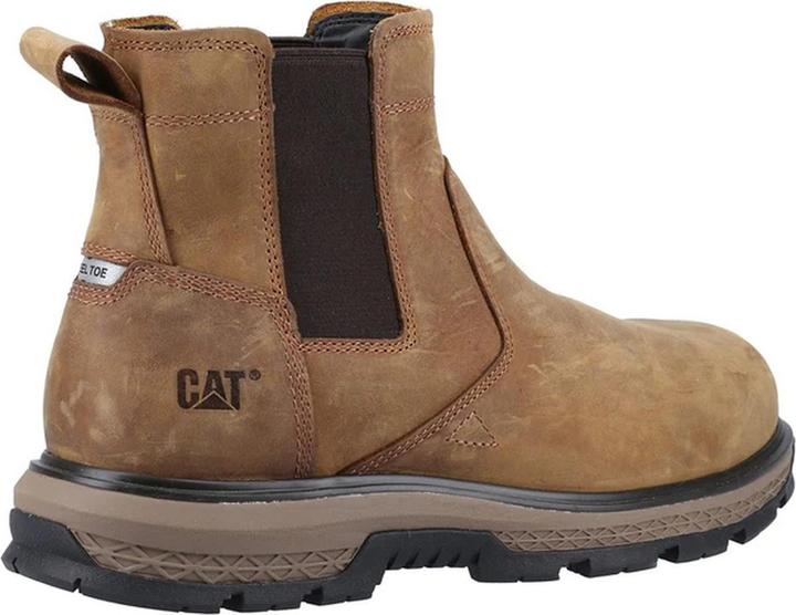 Actual product image Cat Exposure (41)