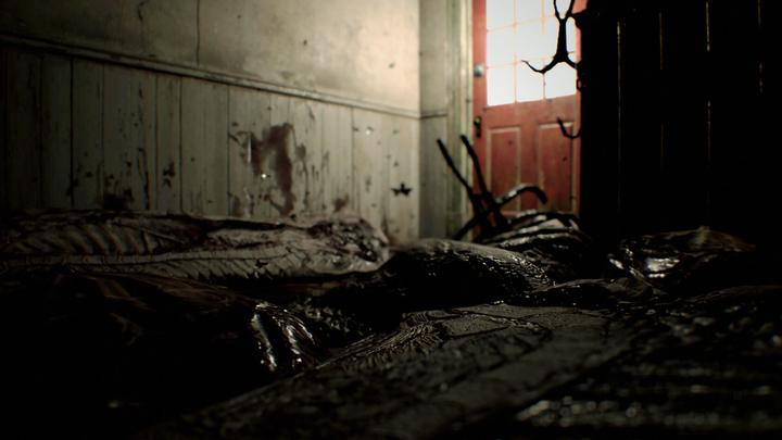 Image du produit Capcom Resident Evil 7 (PS4, DE)
