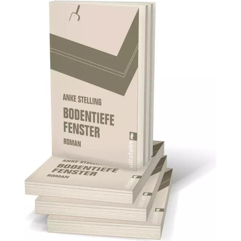 Thumbnail - Bodentiefe Fenster, Belletristik von Anke Stelling
