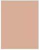 Actual product image L'Oréal Paris Infallible 24H Matte Cover (145 Warm Undertone)