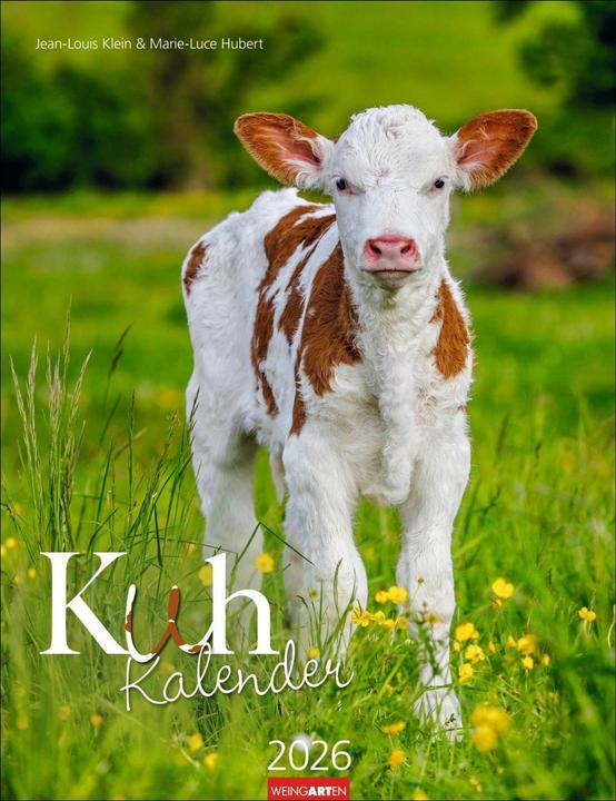 Produktbild Kuh Kalender 2026 (30 x 39 cm)