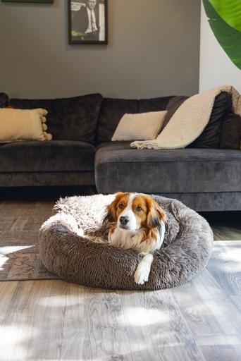 Image du produit Beeztees Hundebett Yala (Chien)