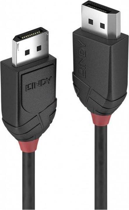 Lindy DisplayPort — DisplayPort (0.50 m, DisplayPort, 1.2)