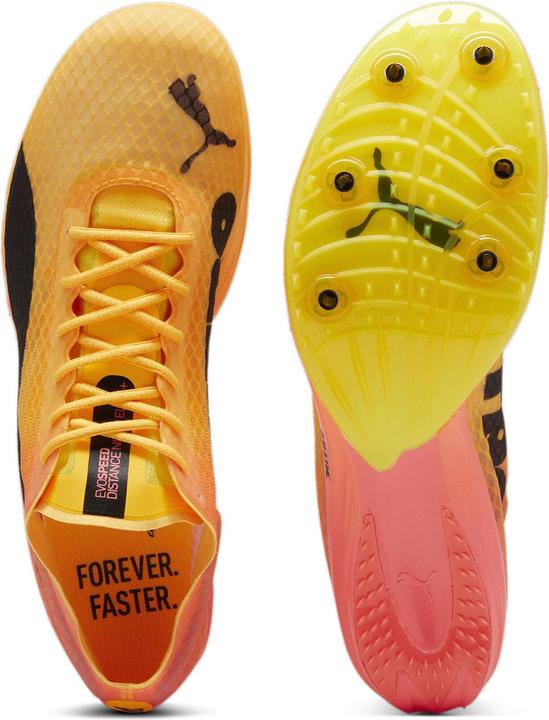 Produktbild Puma evoSPEED Distance Nitro Elite+ 4 (44)